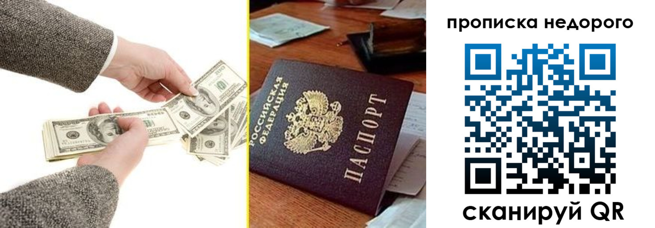 прописка для работы в Стародубе